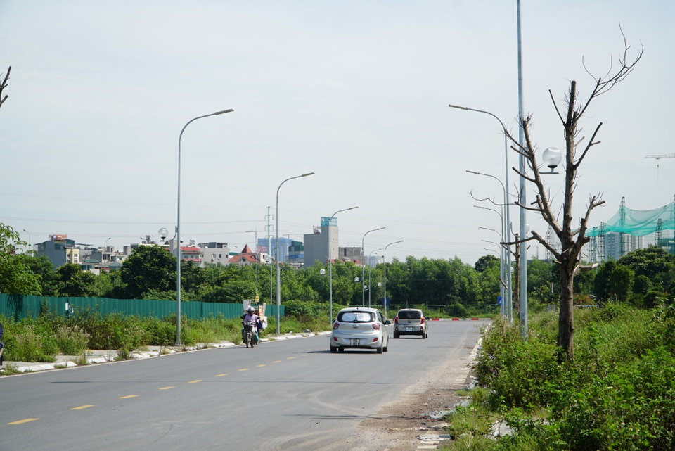 Hà Nội: Hàng trăm cây xanh tiếp tục đột tử trên con đường mới mở - 6 Hà Nội: Hàng trăm cây xanh tiếp tục đột tử trên con đường mới mở - 6