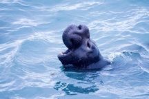 Những nghiên cứu khoa học đột phá trên thế giới năm 2023