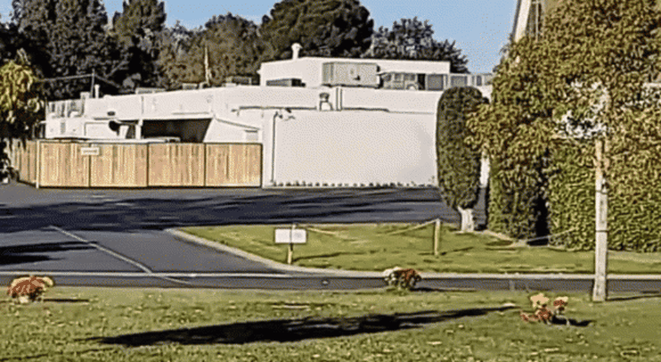 Tiết lộ về nhà quàn đang bảo quản thi hài cố danh hài Chí Tài - 4