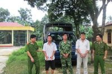 Nạn trộm trâu, bò hoành hành ở miền núi xứ Thanh