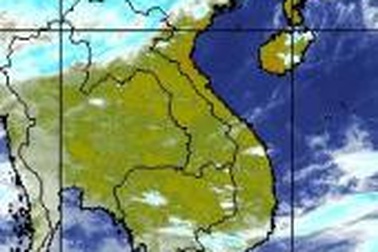 TPHCM: Mát dịu trong những ngày cuối tuần 