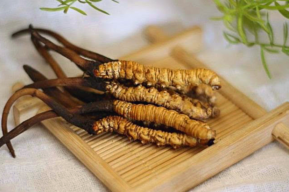 Thực hư về chất lượng đông trùng hạ thảo tràn lan trên thị trường - 2 Thực hư về chất lượng đông trùng hạ thảo tràn lan trên thị trường - 2