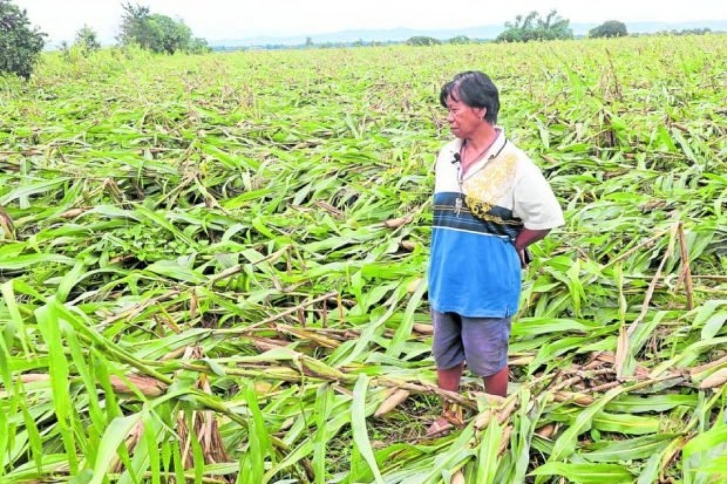 Philippines khẩn trương sơ tán người dân, chuẩn bị đón siêu bão Noru - 1 Philippines khẩn trương sơ tán người dân, chuẩn bị đón siêu bão Noru - 1