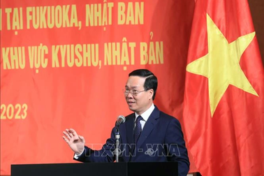 Chủ tịch nước gặp gỡ đại diện cộng đồng người Việt Nam tại khu vực Kyushu, Nhật Bản