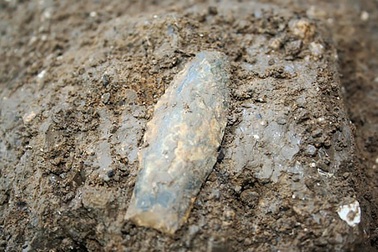 Phát lộ vũ khí cổ nhất từng xuất hiện tại Bắc Mỹ