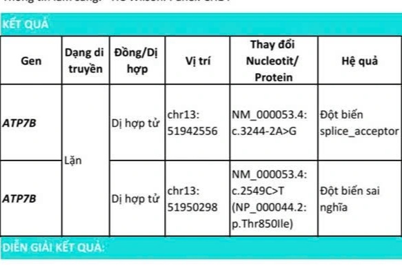 Người phụ nữ ở TPHCM mắc căn bệnh “bí ẩn”, bị chẩn đoán nhầm suốt 20 năm - 2