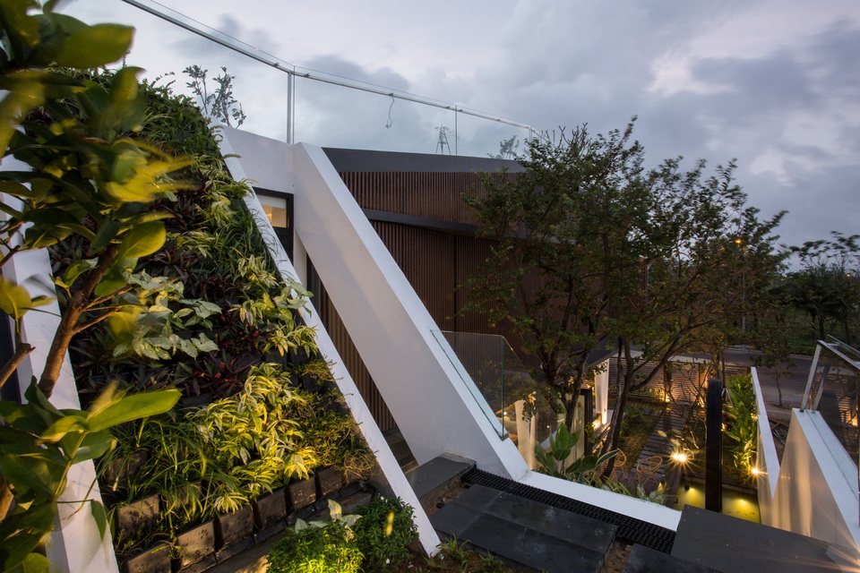 Mãn nhãn loạt biệt thự phố có vườn trên mây tốt như nông trại - 15