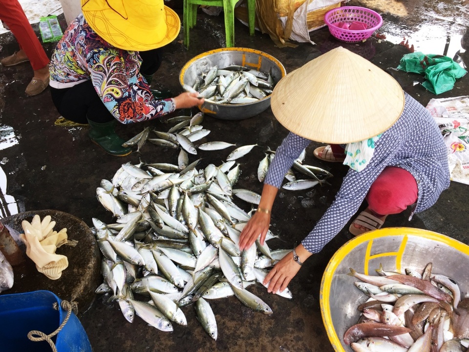 Nhộn nhịp chợ cá Phước Hải - Bà Rịa - 2 Nhộn nhịp chợ cá Phước Hải - Bà Rịa - 2