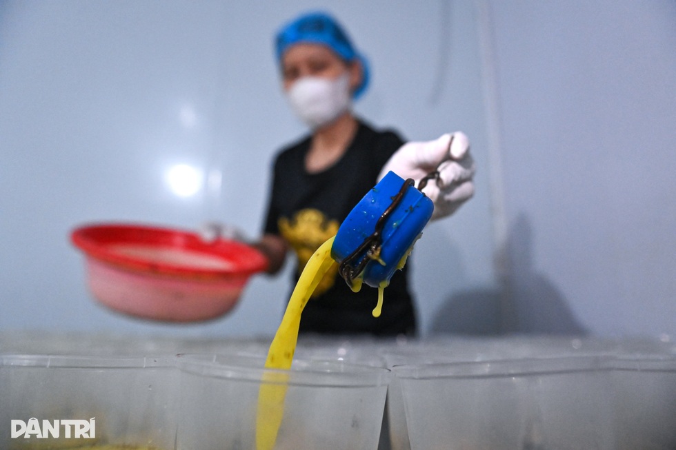 Cho gà ăn “phế phẩm nông nghiệp”, nữ kỹ sư thu tiền tỷ từ trứng đặc sản - 14