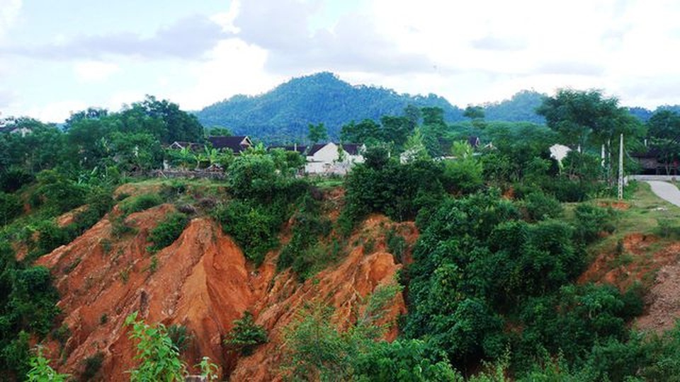 Có rừng mà không cậy nhờ được vốn quý cũng bằng không! - 4 Có rừng mà không cậy nhờ được vốn quý cũng bằng không! - 4