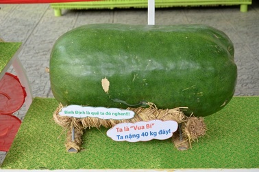 Lạ mắt những củ quả khổng lồ tại lễ hội trái cây Nam bộ