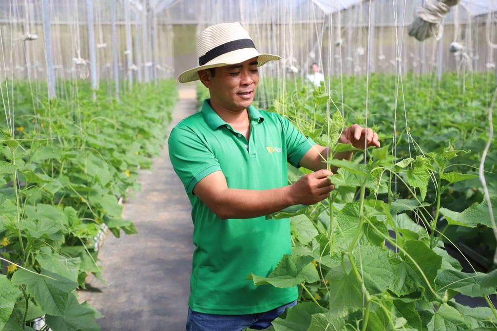 Bí quyết chinh phục người tiêu dùng Việt của WinEco - 1 Bí quyết chinh phục người tiêu dùng Việt của WinEco - 1
