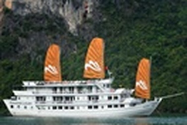 Paradise Cruises: Chất lượng là sức mạnh phát triển