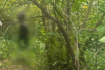 Đi chăn bò phát hiện thi thể đang phân hủy