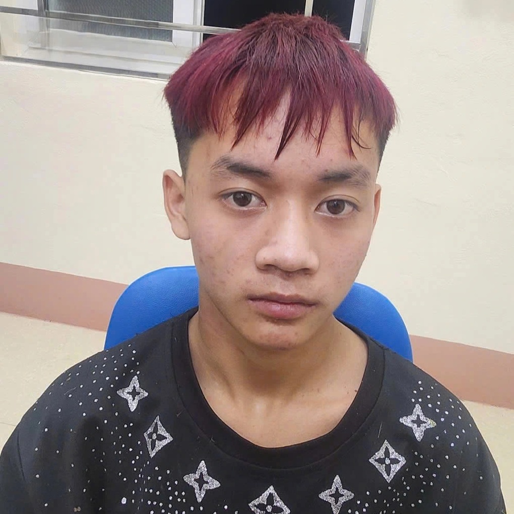 Bắt giữ thiếu niên 15 tuổi hiếp dâm trẻ em - 1