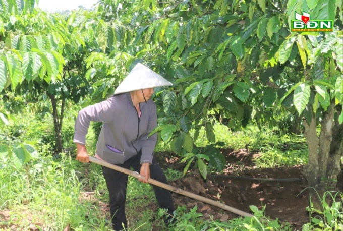 Nguồn vốn dành cho chương trình Mục tiêu quốc gia giảm nghèo tại Đắk Nông.