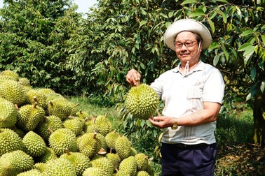 Mekong Connect 2024 tập trung vào 3 lĩnh vực trọng yếu