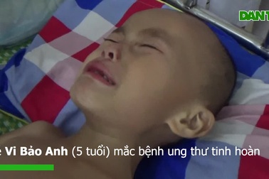 Nỗi đau quá sức chịu đựng của bé 5 tuổi ung thư tinh hoàn