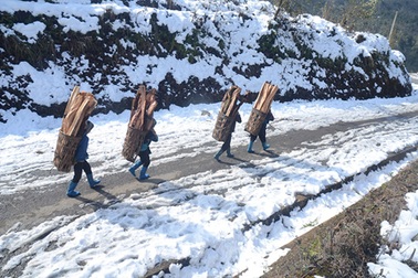 Sa Pa, Y Tý có thể đón mưa tuyết trong mùa đông năm nay