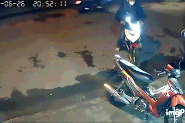 Chủ nhà bất lực vì gặp băng trộm chó hung hãn, tấn công giữa đường