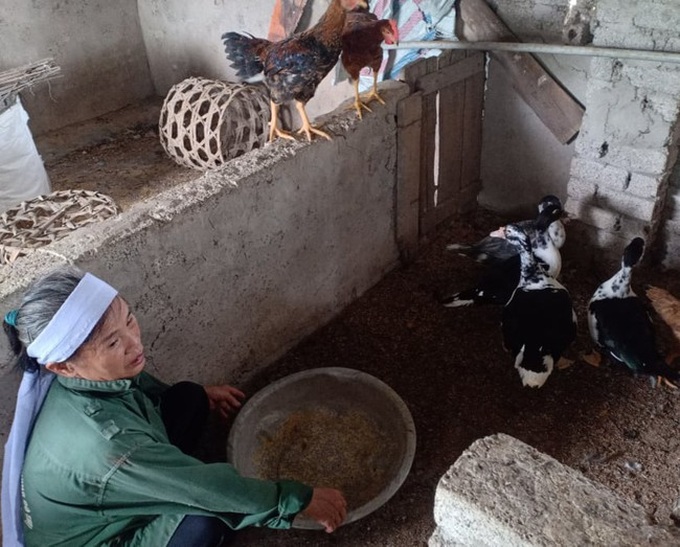 Nghiệt ngã cảnh đời góa phụ có chồng và 2 người con đều mất vì tai nạn giao thông, nuôi cháu mồ côi, khuyết tật - Ảnh 7. Nghiệt ngã cảnh đời góa phụ có chồng và 2 người con đều mất vì tai nạn giao thông, nuôi cháu mồ côi, khuyết tật - Ảnh 7.