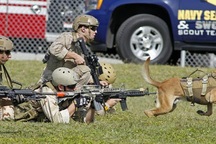 Những lực lượng đặc nhiệm tinh nhuệ nhất của Mỹ