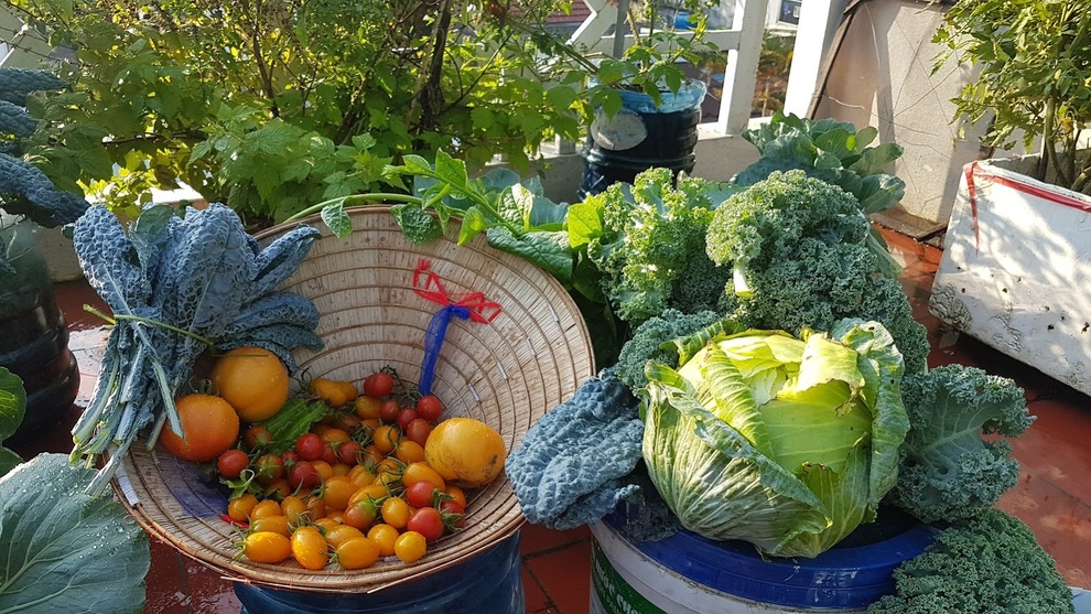 Nhóm bạn rủ nhau làm vườn sân thượng nhiều giống lạ, thu hoạch mỏi tay - 11