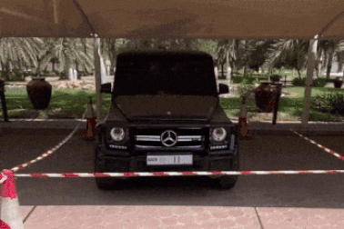 Xe sang Mercedes của Hoàng tử Dubai bị "cách ly" vì lý do đầy xúc động