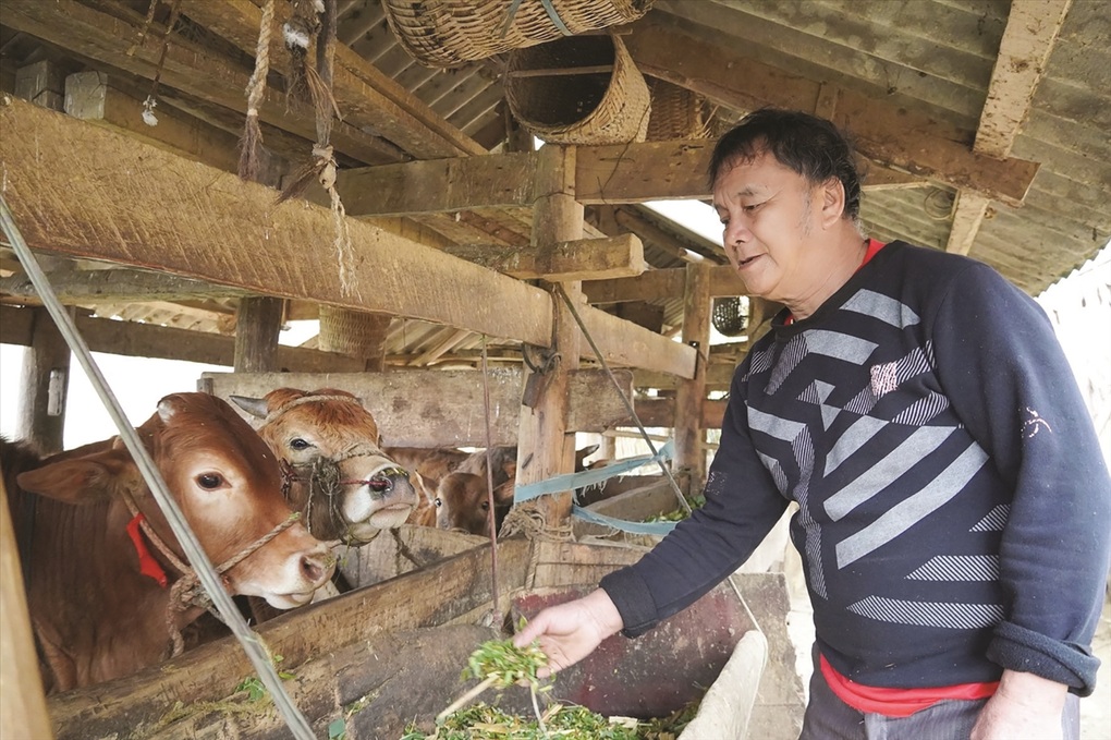 Lạng Sơn: Đa dạng hóa sinh kế, phát triển các mô hình giảm nghèo - 1 Lạng Sơn: Đa dạng hóa sinh kế, phát triển các mô hình giảm nghèo - 1