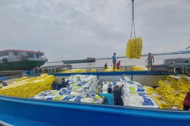 Doanh nghiệp gạo kẹt vốn, nông dân lo thua lỗ vì giá lúa giảm sâu