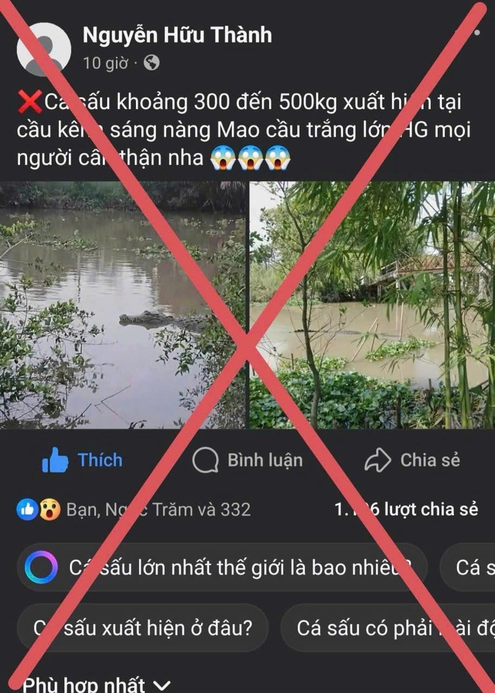 Thực hư chuyện cá sấu xuất hiện trên kênh ở Cần Thơ - 1 Thực hư chuyện cá sấu xuất hiện trên kênh ở Cần Thơ - 1