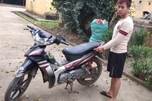 Phóng hỏa chuồng bò để trộm xe máy