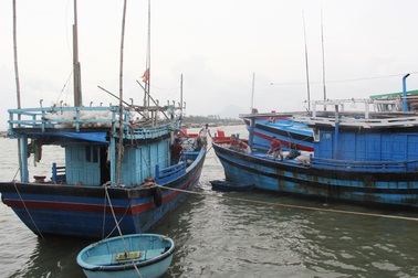 Cấm biển, cưỡng chế các hộ dân khu vực nguy hiểm để ứng phó với bão số 6