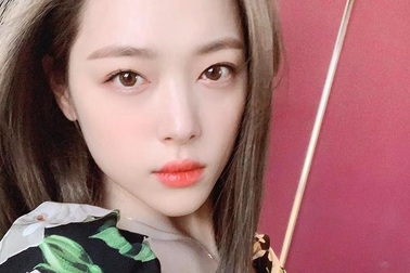 “Dự luật Sulli” sẽ được trình lên Quốc hội Hàn Quốc