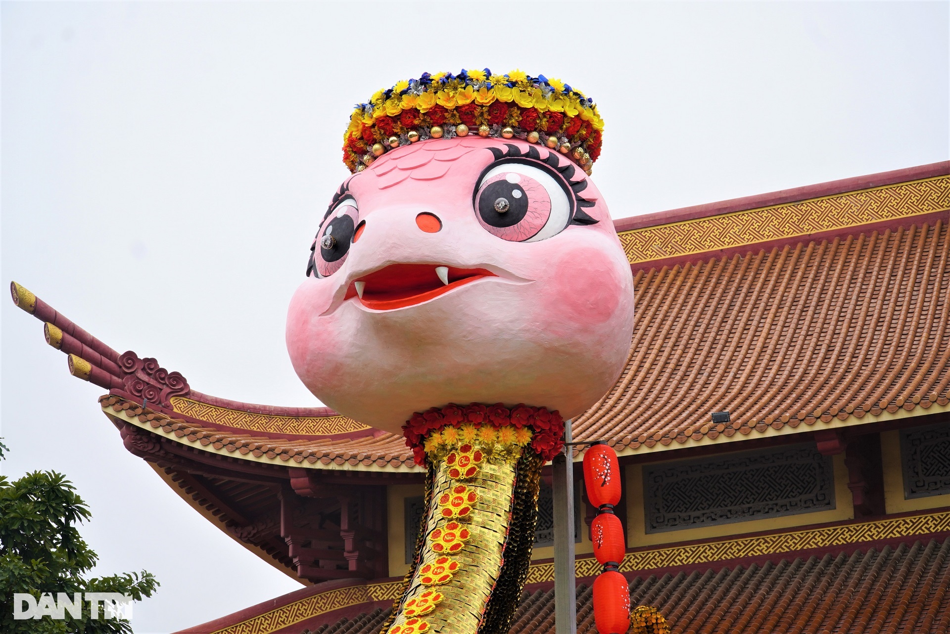 Linh vật rắn siêu dễ thương, đầu đội vòng nguyệt quế trình làng - 7 Linh vật rắn siêu dễ thương, đầu đội vòng nguyệt quế trình làng - 7