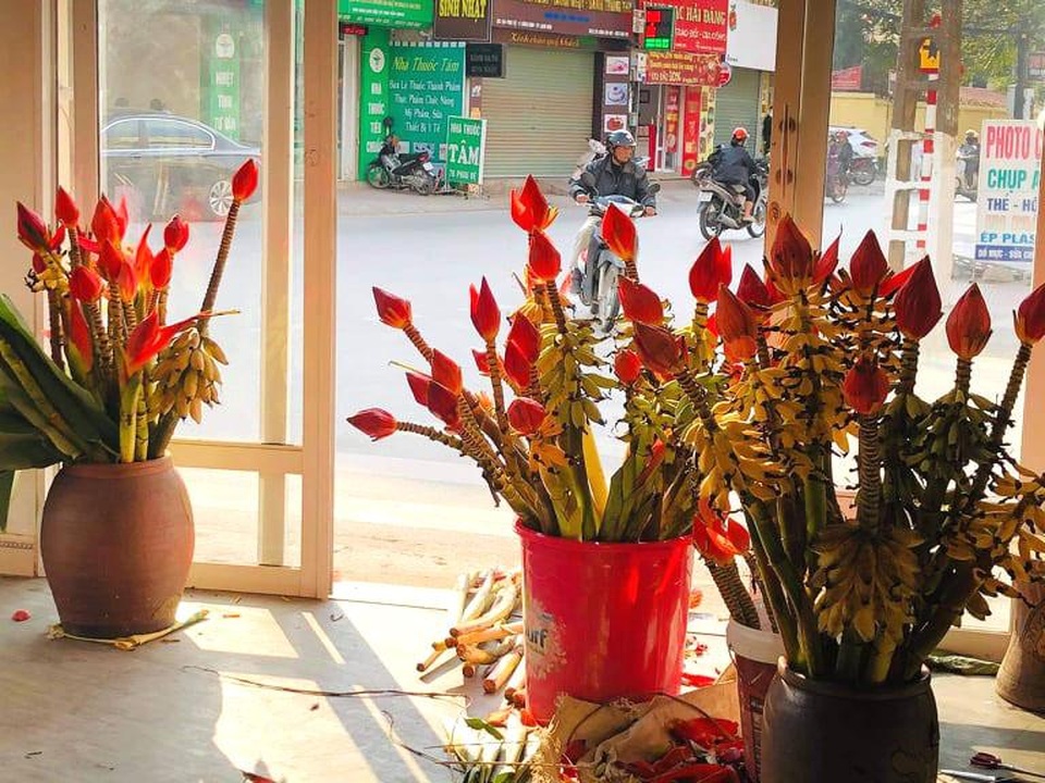 Hoa rừng từ bản xuống phố thành thú chơi sang hút khách - 2 Hoa rừng từ bản xuống phố thành thú chơi sang hút khách - 2