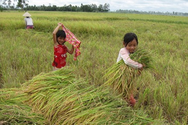 Nhọc nhằn mưu sinh ngày khai trường