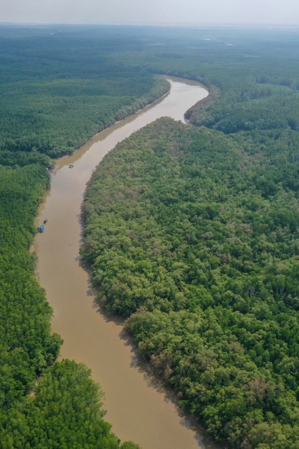 Giữ rừng, để không “rưng rưng nước mắt”