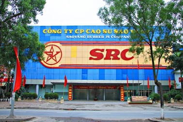 Cao su Sao Vàng bị truy thu thuế và lãnh phạt gần 800 triệu đồng