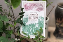 Những phận đời "chìm nổi ở Sài Gòn": Từ cô gái mại dâm đến "ngựa người"