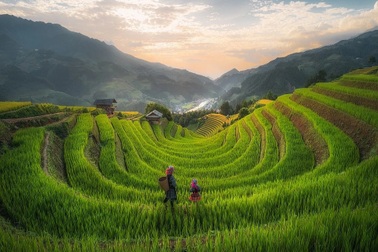 Khoảnh khắc Việt Nam đẹp như "nàng thơ" khiến khách Tây muốn đặt vé đi luôn