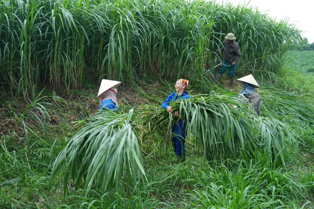 Sữa tươi Kun và câu chuyện sinh kế của nhà nông trên những cánh đồng - 5 Sữa tươi Kun và câu chuyện sinh kế của nhà nông trên những cánh đồng - 5