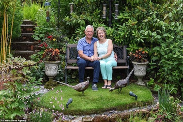 “Thiên đường” của vợ chồng U70 với loạt cây từ khắp nơi trên thế giới