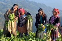 Thi đua làm theo gương Bác nơi địa đầu Tổ quốc