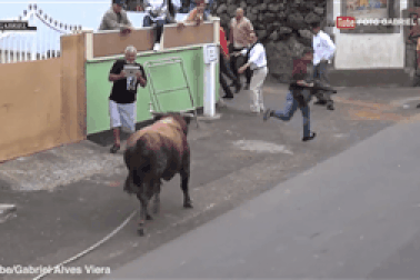 Hãi hùng cảnh bò tót tấn công người trong lễ hội ở Bồ Đào Nha