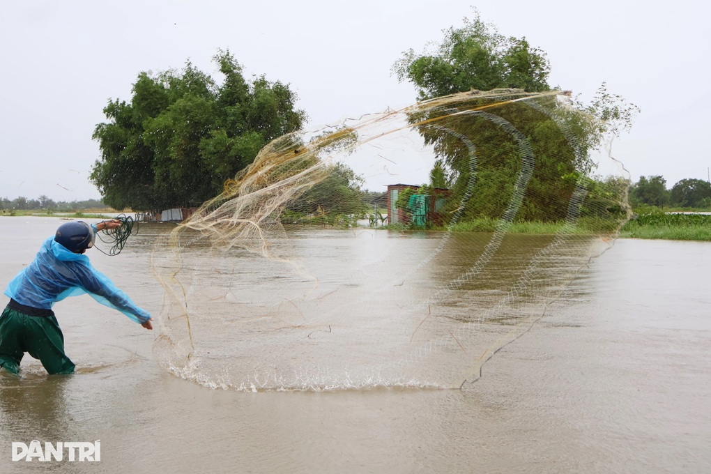 Bất chấp mưa bão, người dân vẫn đổ xô ra đồng kiếm “lộc trời” - 1 Bất chấp mưa bão, người dân vẫn đổ xô ra đồng kiếm “lộc trời” - 1
