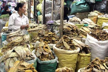 Dùng lưu huỳnh sấy bảo quản: Người sản xuất tự “giết” mình