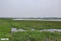 Khu "đất vàng" ở Thanh Hóa được chốt giá khởi điểm hơn 451 tỷ đồng