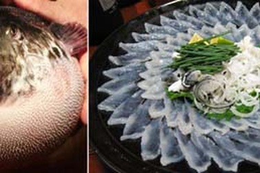 Những món đặc sản "khó nuốt" nhất thế giới