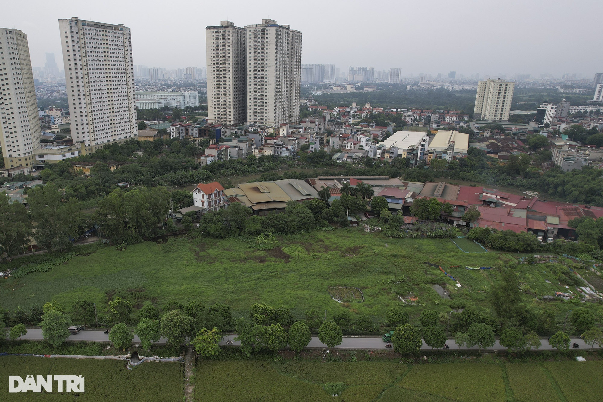 Những mùa lúa cuối cùng vùng ngoại thành Hà Nội - 6